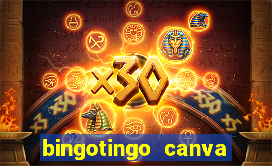 bingotingo canva pro gratis